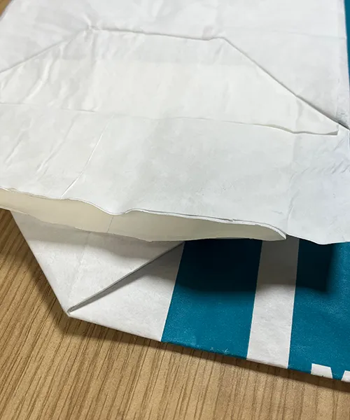 Échantillons de sacs à valve